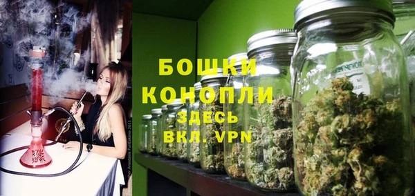 дживик Майский